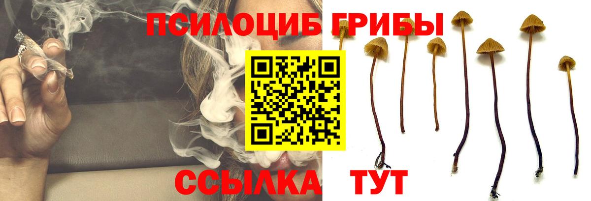 Энгельс  Псилоцибиновые грибы Psilocybine cubensis  Галлюциногенные грибы Cubensis  цена наркотик  Вход с VPN 